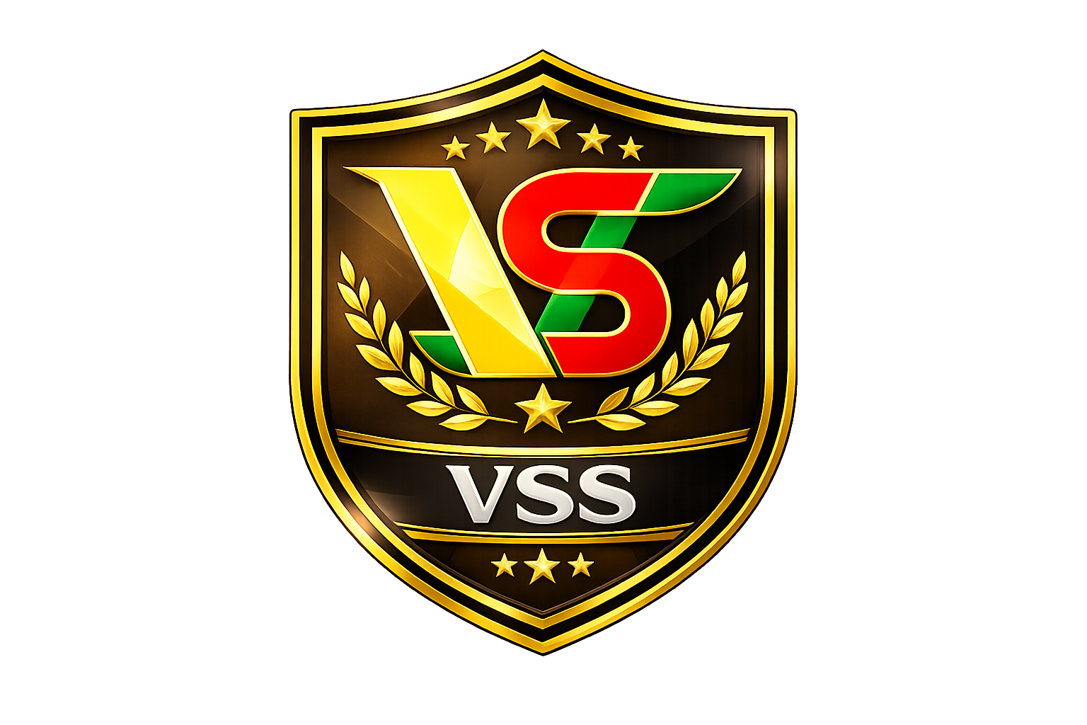 VSS Security Logo